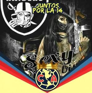 Meet your Posher, Phillip